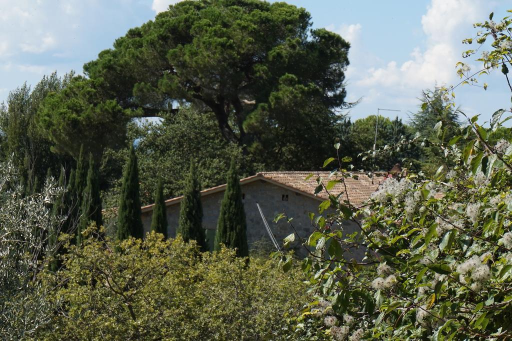 Bed and Breakfast Casa Lucia In Chianti Вальяли Экстерьер фото